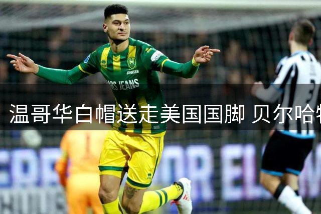 温哥华白帽送走美国国脚 贝尔哈特转会英冠米堡