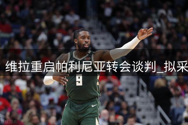 维拉重启帕利尼亚转会谈判 拟采用租借+强制买断方案